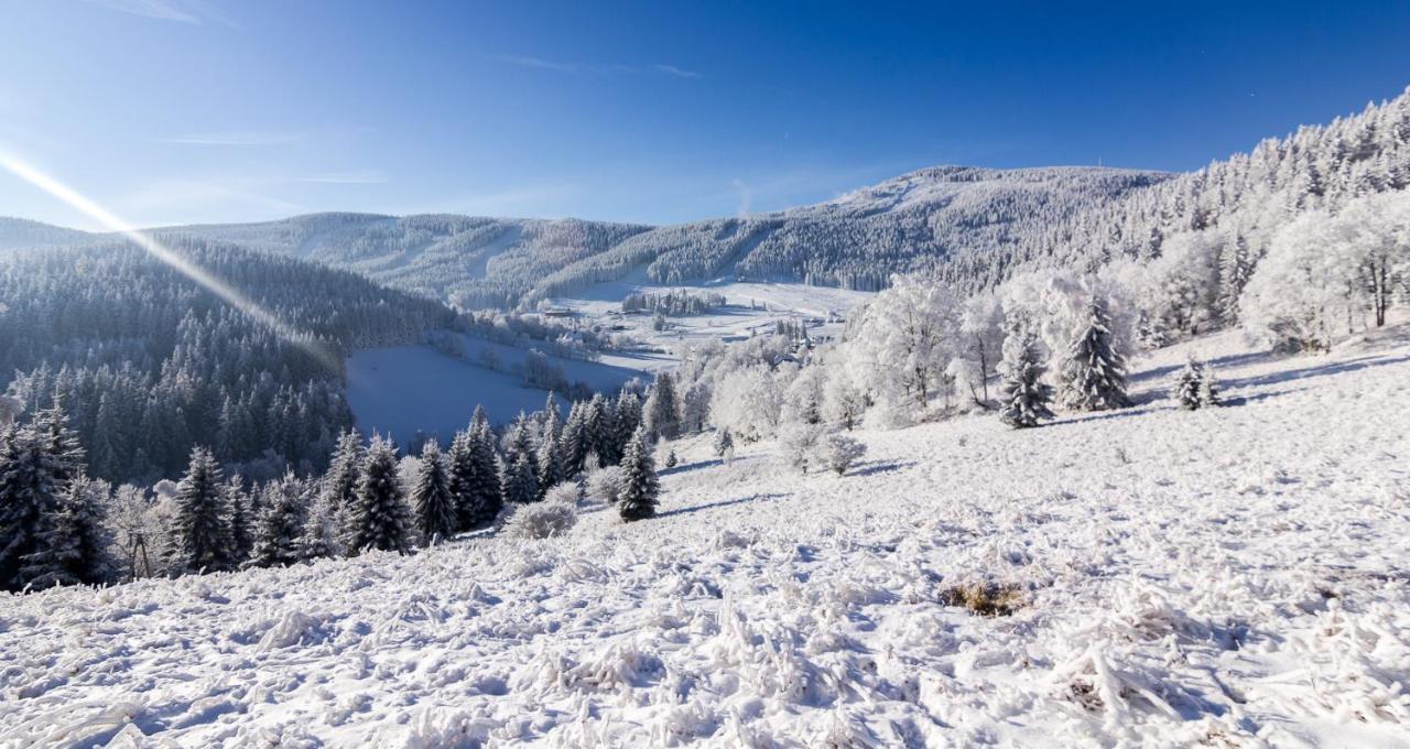 Kosowka Czarna Gora Bed & Breakfast Stronie Śląskie Dış mekan fotoğraf